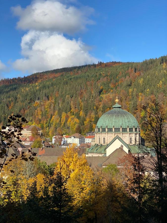 No 19 In The Black Forest St. Blasien Exterior photo