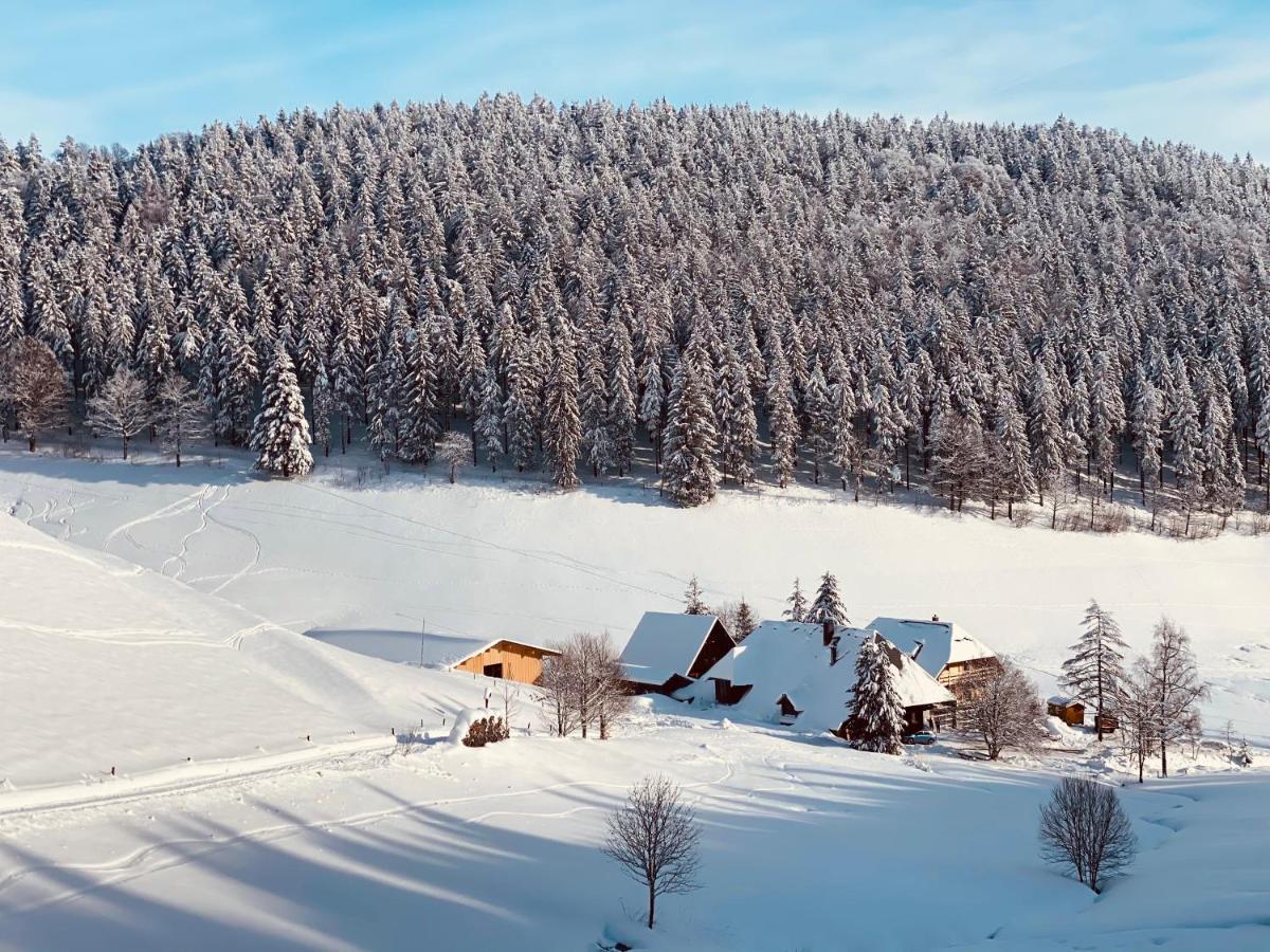 No 19 In The Black Forest St. Blasien Exterior photo